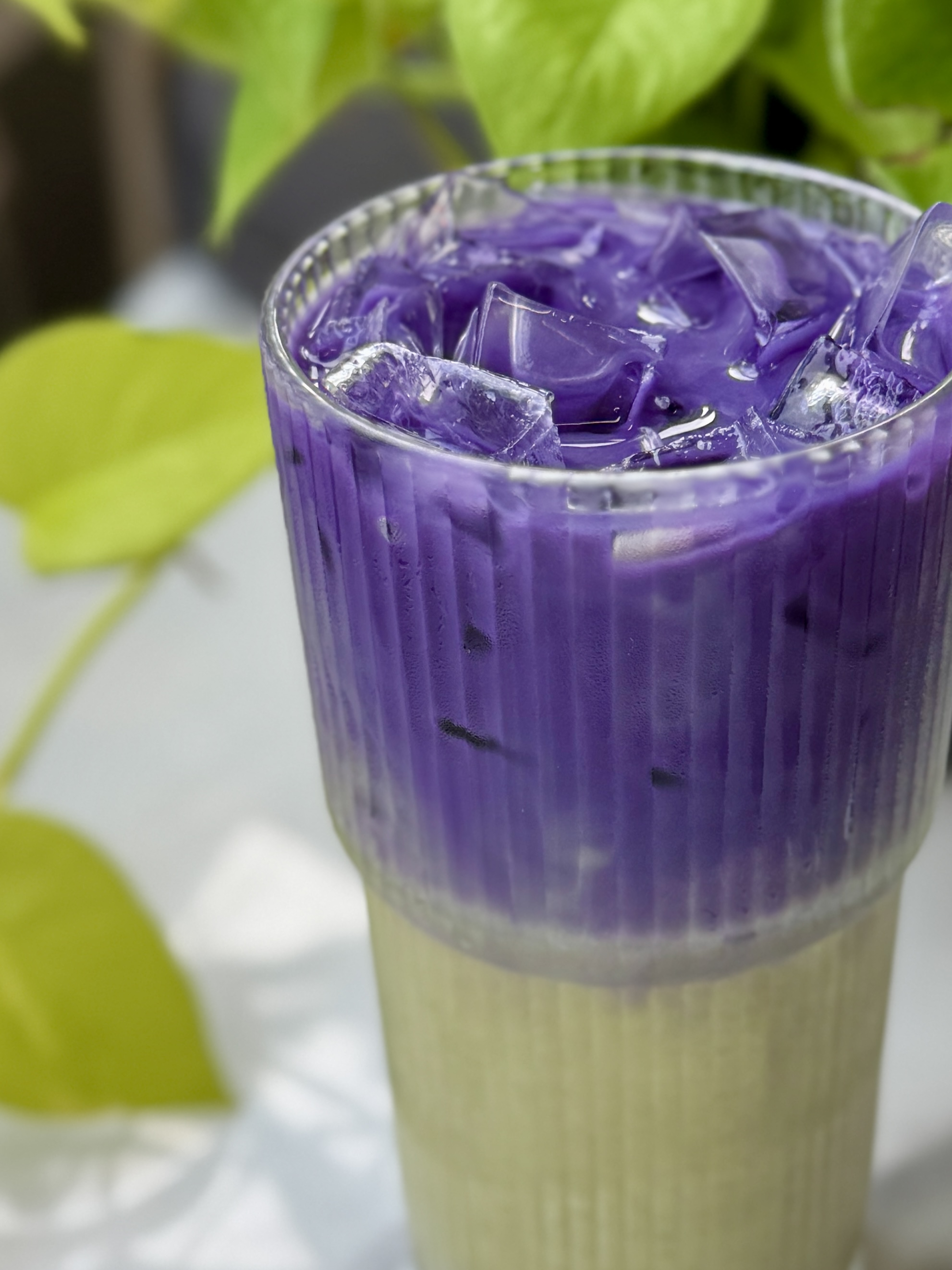 Ube Matcha Latte